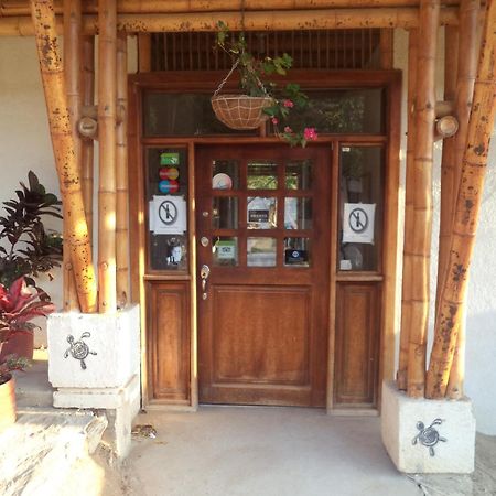 La Tortuga Hostel Taganga Εξωτερικό φωτογραφία